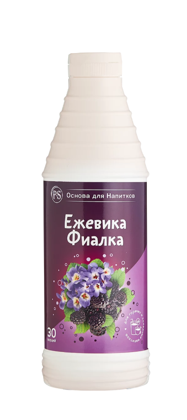Основа для напитков ProffSyrup Ежевика-Фиалка 1 кг